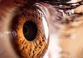 القای توهم بصری توسط مغز