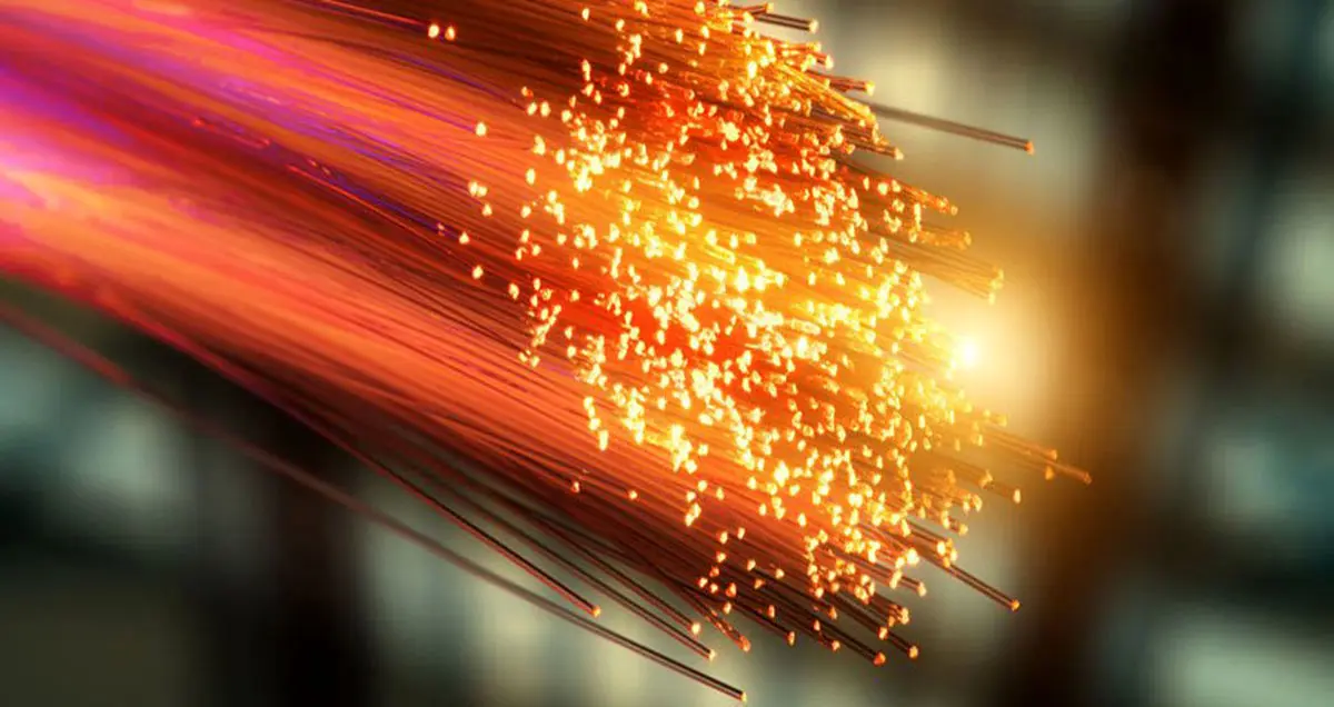 استفاده از باکتری موجود در آب اقیانوس به منظور درمان سرطان پروستات