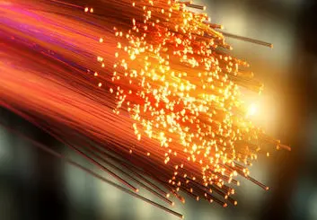 استفاده از باکتری موجود در آب اقیانوس به منظور درمان سرطان پروستات