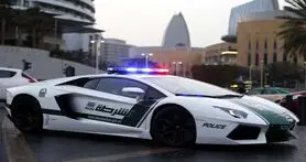 تجهیز پلیس دبی به نرم افزار پیش بینی وقوع جرم