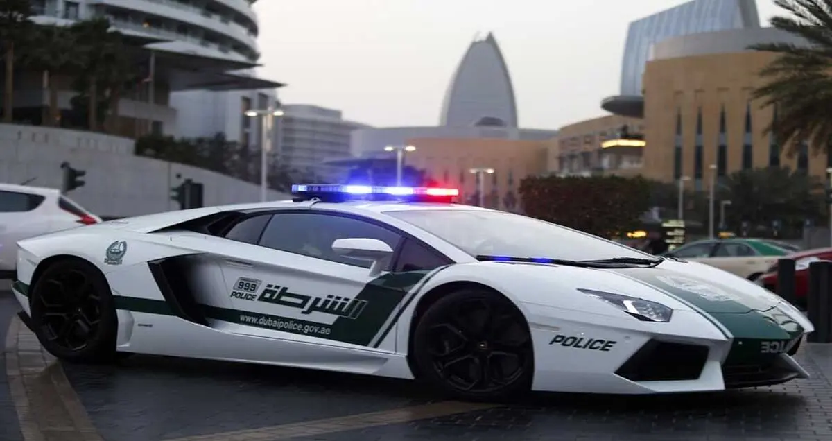 تجهیز پلیس دبی به نرم افزار پیش بینی وقوع جرم