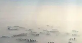 ثبت بالاترین سطح آلودگی هوا در چین