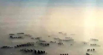 ثبت بالاترین سطح آلودگی هوا در چین