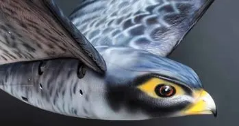 Robird؛ پهباد پرنده ای که بال می زند