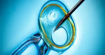 تولد انسان از سلول های بنیادی