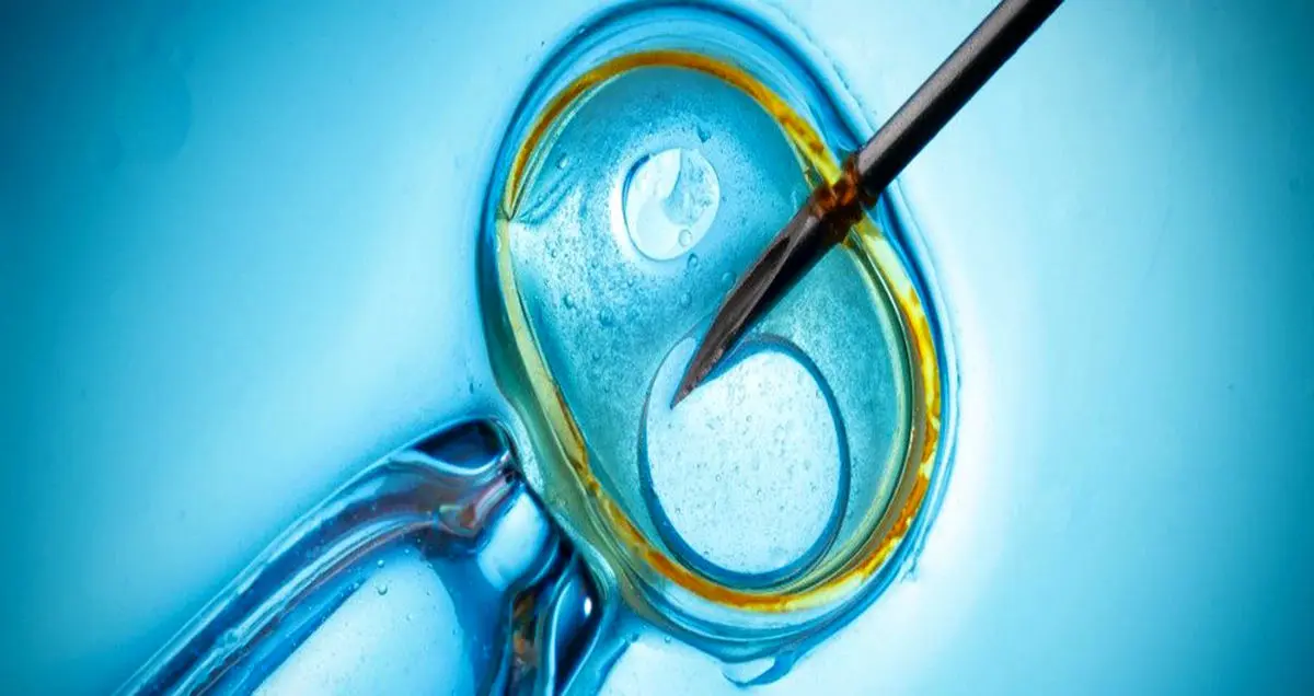 تولد انسان از سلول های بنیادی