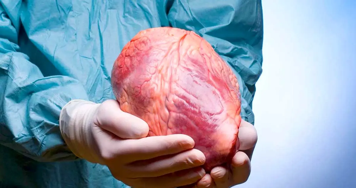 روشی جدید برای جلوگیری از آسیب اعضای اهدا شده بدن