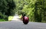 تماشا کنید؛ تپه های جاذب، دنیای فیزیک را به چالش کشید