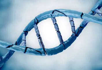 ترمیم DNA راهی برای جوان سازی و جلو گیری از پیری