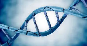 ترمیم DNA راهی برای جوان سازی و جلو گیری از پیری