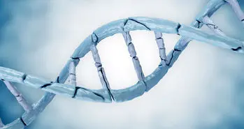 ترمیم DNA راهی برای جوان سازی و جلو گیری از پیری