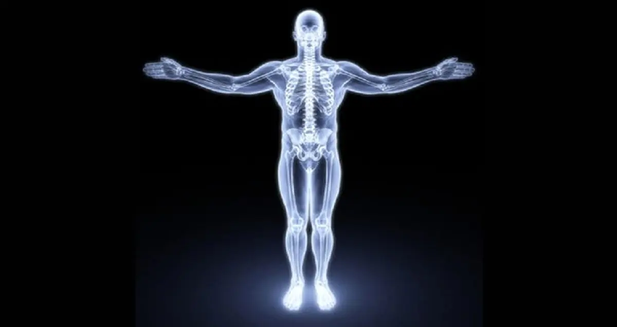 مکانیسم جدید کاهش اشتها در استخوان های شما کشف شد