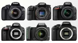 بهترین دوربین ها برای تازه کاران