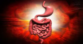 آیا روزه داری باعث ترمیم پانکراس و بهبود دیابت می شود؟