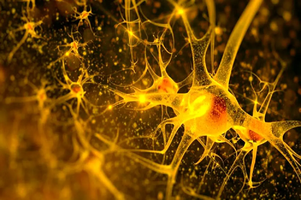 آیا مغز انسان قوی تر از تصور ماست؟