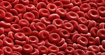 ساخت خون مصنوعی پس از ۶۷ سال