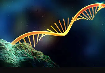 ساخت بلوک های سازنده RNA توسط امواج سیارک ها