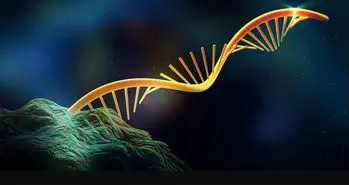 ساخت بلوک های سازنده RNA توسط امواج سیارک ها