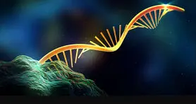 ساخت بلوک های سازنده RNA توسط امواج سیارک ها