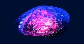 اختراع دستگاه جدید تشخیص سریع خون ریزی مغز