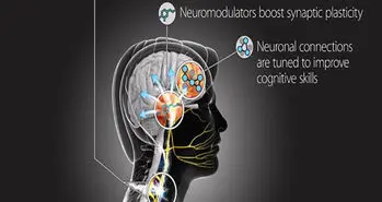 یادگیری مهارت جدید توسط هک مغز انسان در ارتش امریکا