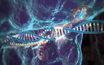تکنیک جدید ویرایش ژن CRISPR برای حمله به مرکز فرماندهی سرطان
