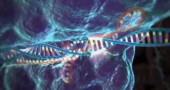 تکنیک جدید ویرایش ژن CRISPR برای حمله به مرکز فرماندهی سرطان