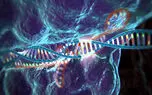 تکنیک جدید ویرایش ژن CRISPR برای حمله به مرکز فرماندهی سرطان
