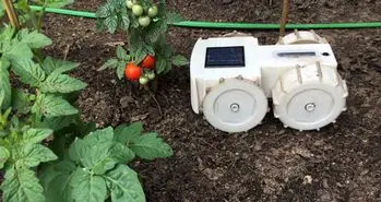 ساخت ربات وجین کننده علف هرز توسط شرکت رومبا