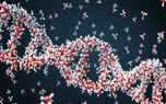 برنامه مایکروسافت برای ذخیره‌ اطلاعات بر روی DNA