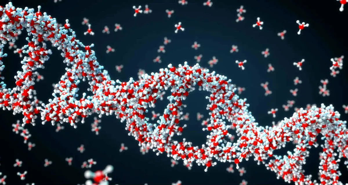 برنامه مایکروسافت برای ذخیره‌ اطلاعات بر روی DNA