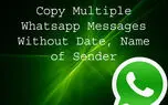 چگونه چند پیام را در Whatsapp بدون درج تاریخ، ساعت و نام کپی کنیم؟