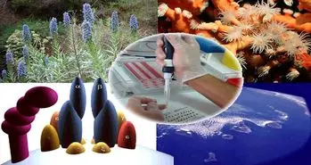 کاهش ضایعات کشاورزی و تصفیه آب های سطحی با استفاده از فناوری نانو