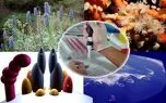 کاهش ضایعات کشاورزی و تصفیه آب های سطحی با استفاده از فناوری نانو