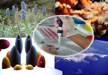 کاهش ضایعات کشاورزی و تصفیه آب های سطحی با استفاده از فناوری نانو