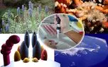 کاهش ضایعات کشاورزی و تصفیه آب های سطحی با استفاده از فناوری نانو