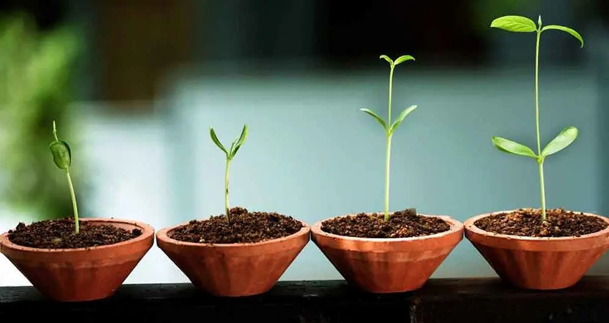 ۱۷ استارت آپ برتر سال ۲۰۱۷ را بشناسید