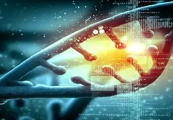 پنج مرحله شبیه سازی ژنتیکی را بشناسید؟