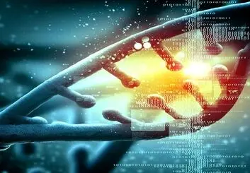 پنج مرحله شبیه سازی ژنتیکی را بشناسید؟