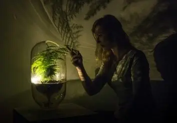 به این گیاه آب دهید تا برق داشته باشید!