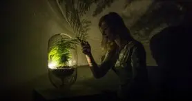 به این گیاه آب دهید تا برق داشته باشید!