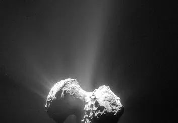 کشف عامل موثر در جاودانگی