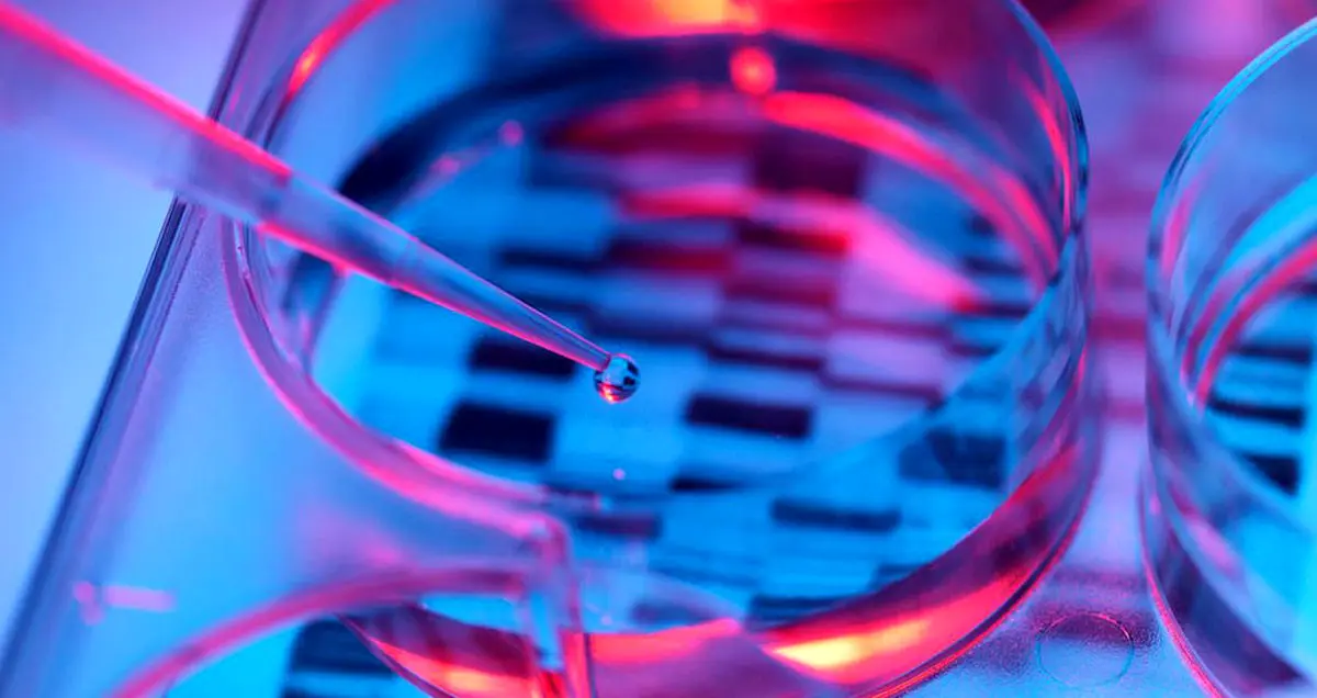 اولین دستکاری ژنتیکی جنین انسان در آمریکا