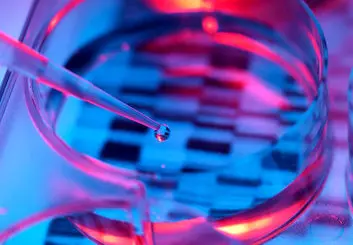 اولین دستکاری ژنتیکی جنین انسان در آمریکا