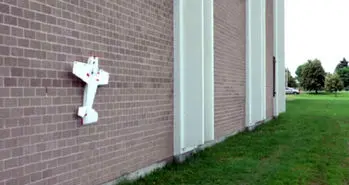 ساخت پهپاد با الهام از حشرات و پرندگان