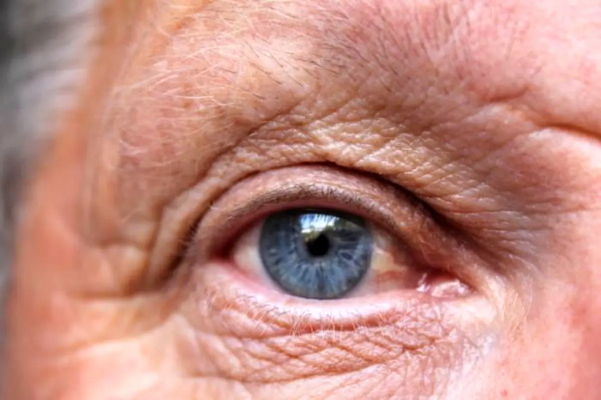 تحقیقات ماکولادژنراسیون در مطالعات ژنهای بزرگ رشد چشمگیری داشته اند