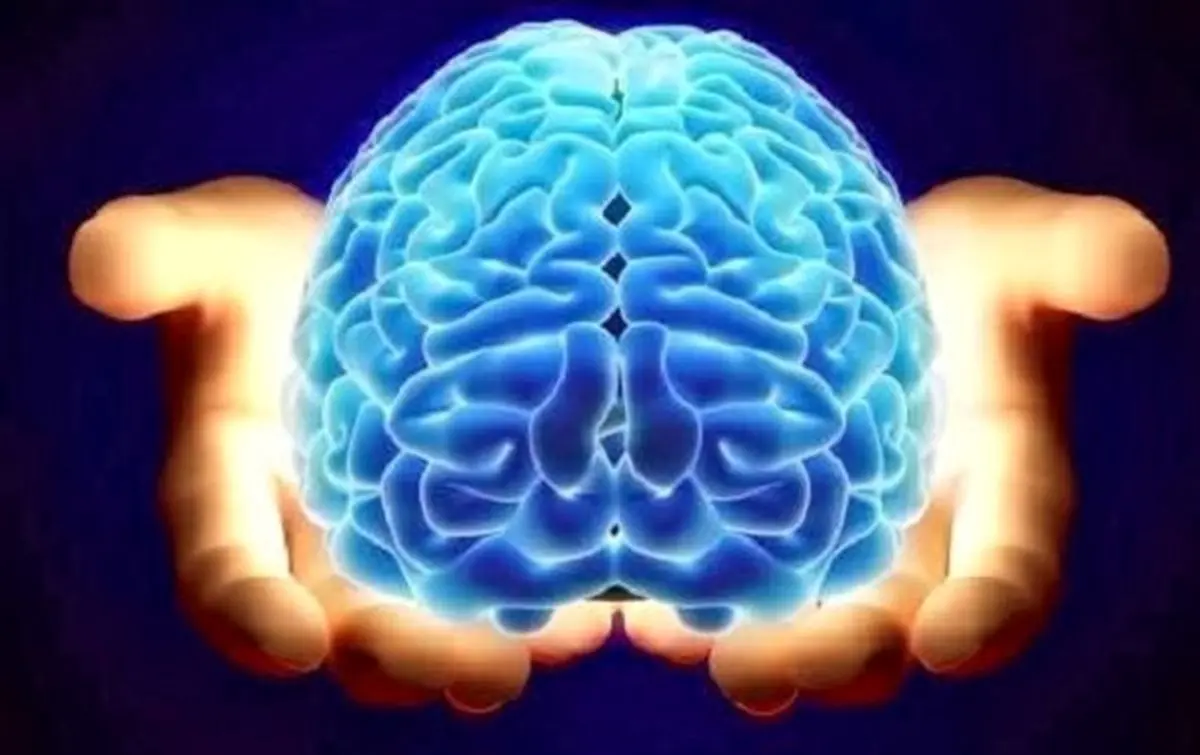 ده حقیقت جالب درباره مغز انسان