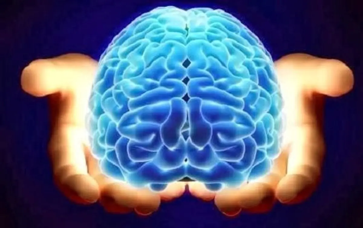 ده حقیقت جالب درباره مغز انسان