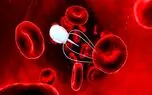 نانو ربات‌هایی از جنس DNA که در بدنتان مولکول جابه‌جا می‌کند