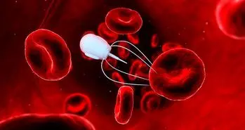 نانو ربات‌هایی از جنس DNA که در بدنتان مولکول جابه‌جا می‌کند